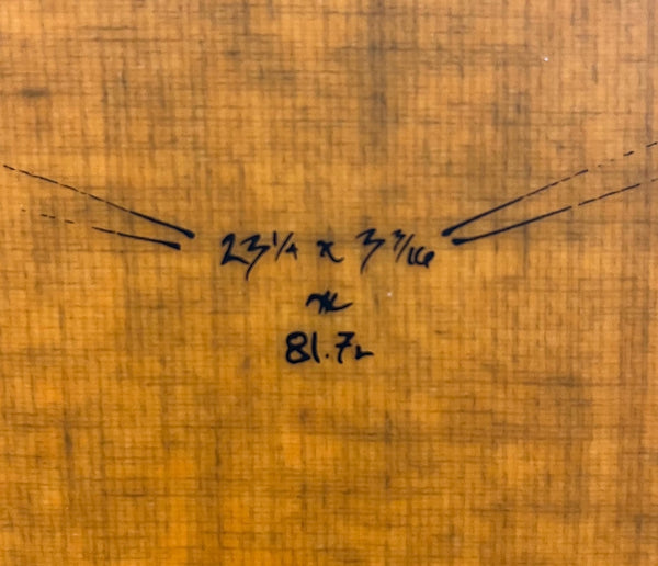 Wayne Rich Wildcard 3 9’9