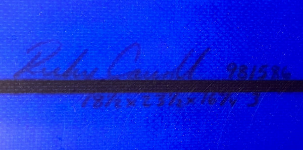 BLK Rose Dark Horse 9'6